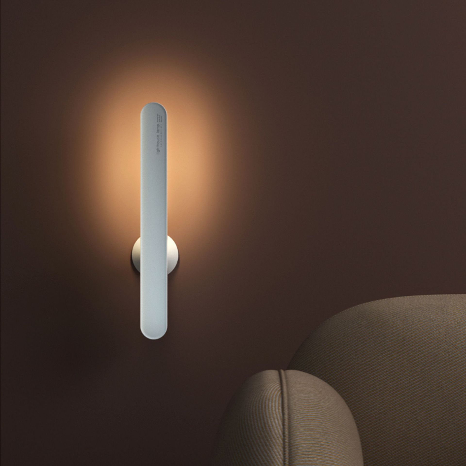 Multifunctional magnetic light