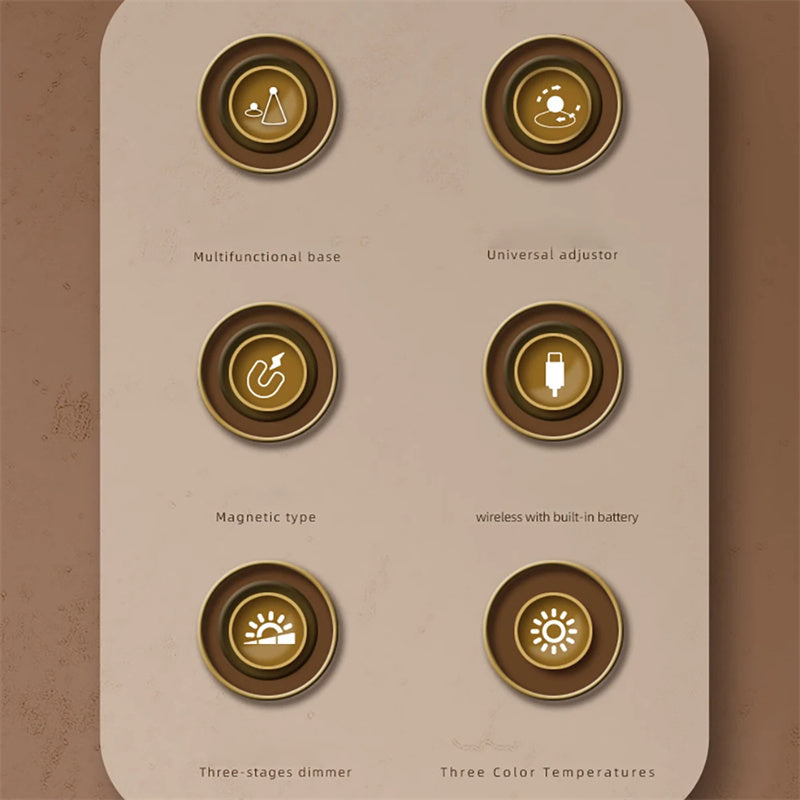 Multifunctional magnetic light