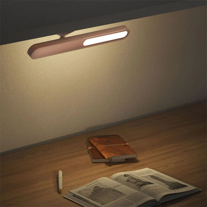 Multifunctional magnetic light