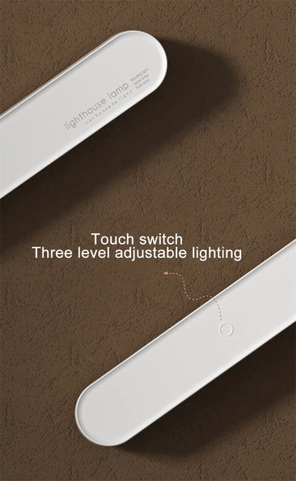 Multifunctional magnetic light