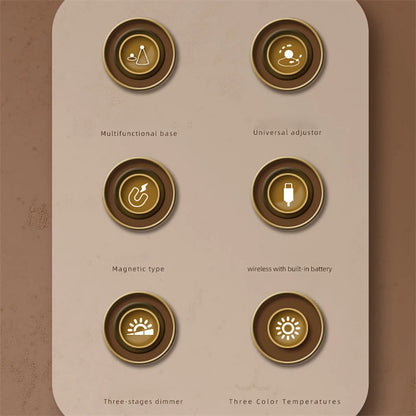 Multifunctional magnetic light